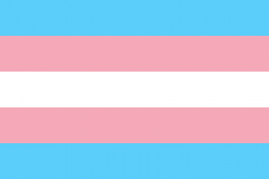 The trans flag