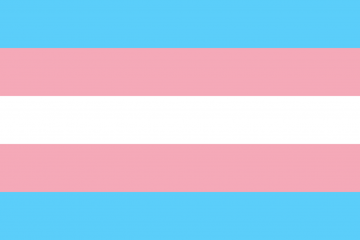 Trans flag image