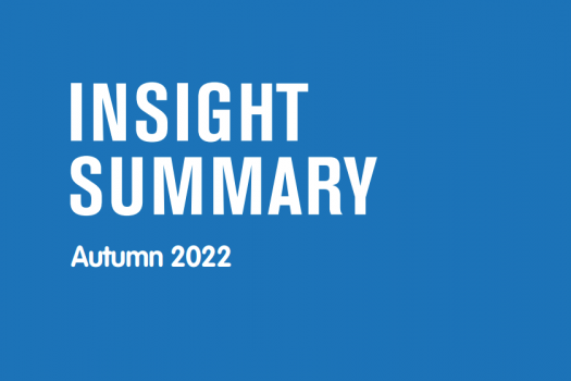 White text on a blue background saying Insight Summary Autumn 2022